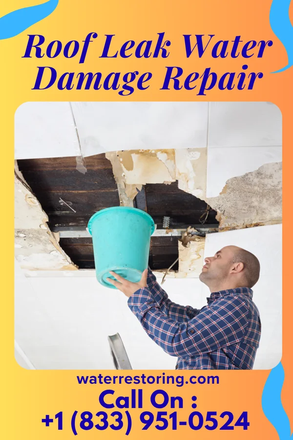 Roof Leak Water Damage Repair in Blountsville, AL